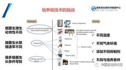 培養(yǎng)組通幽微世界，助力微生物資源大作為——記國家微生物科學(xué)數(shù)據(jù)中心網(wǎng)絡(luò)精品課網(wǎng)絡(luò)技術(shù)開發(fā)